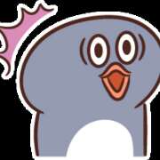 ヒメ日記 2026/01/13 12:46 投稿 土屋 なるみ エテルナ京都