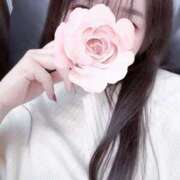 ヒメ日記 2025/01/11 19:02 投稿 志帆乃(しほの) グランドオペラ横浜