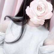 ヒメ日記 2025/02/18 17:38 投稿 志帆乃(しほの) グランドオペラ横浜