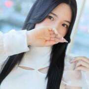 ヒメ日記 2025/04/03 00:09 投稿 志帆乃(しほの) グランドオペラ横浜