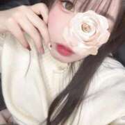 ヒメ日記 2025/04/06 21:01 投稿 志帆乃(しほの) グランドオペラ横浜