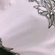 ヒメ日記 2025/04/27 20:33 投稿 志帆乃(しほの) グランドオペラ横浜