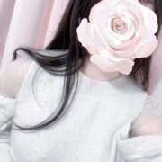 ヒメ日記 2025/09/29 17:54 投稿 志帆乃(しほの) グランドオペラ横浜