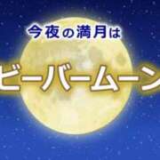 ヒメ日記 2023/11/27 18:03 投稿 芹沢（せりざわ） 女々艶 厚木店