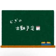ヒメ日記 2025/04/29 20:46 投稿 むぎ Cawaiiハイ！スクールリターンズ