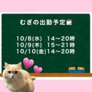 ヒメ日記 2025/10/07 21:05 投稿 むぎ Cawaiiハイ！スクールリターンズ