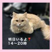 ヒメ日記 2025/11/07 21:13 投稿 むぎ Cawaiiハイ！スクールリターンズ