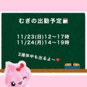 ヒメ日記 2025/11/22 10:30 投稿 むぎ Cawaiiハイ！スクールリターンズ