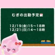 ヒメ日記 2025/12/18 22:50 投稿 むぎ Cawaiiハイ！スクールリターンズ