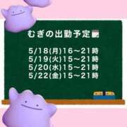 ヒメ日記 2026/05/17 21:55 投稿 むぎ Cawaiiハイ！スクールリターンズ