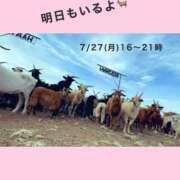 ヒメ日記 2026/07/26 20:09 投稿 むぎ Cawaiiハイ！スクールリターンズ