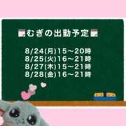 むぎ 🗓️むぎの出勤予定🗓️ Cawaiiハイ！スクールリターンズ