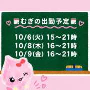 むぎ 🗓️むぎの出勤予定🗓️ Cawaiiハイ！スクールリターンズ