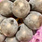 ヒメ日記 2025/09/28 10:18 投稿 ひとみ 角海老石亭