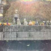 ヒメ日記 2025/10/19 11:38 投稿 ひとみ 角海老石亭