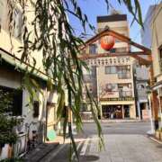 ヒメ日記 2025/12/08 12:31 投稿 ひとみ 角海老石亭