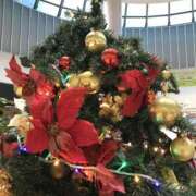 ヒメ日記 2025/12/20 16:08 投稿 ひとみ 角海老石亭