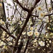 ヒメ日記 2026/01/25 12:24 投稿 ひとみ 角海老石亭