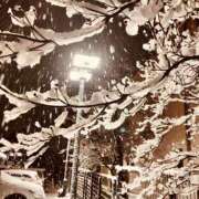 ヒメ日記 2026/02/08 23:38 投稿 ひとみ 角海老石亭