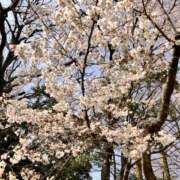 ヒメ日記 2026/04/01 12:38 投稿 ひとみ 角海老石亭