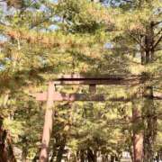 ヒメ日記 2026/04/07 12:18 投稿 ひとみ 角海老石亭