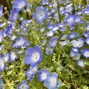 ヒメ日記 2026/04/19 11:28 投稿 ひとみ 角海老石亭