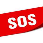 ヒメ日記 2025/12/26 14:41 投稿 レイ 角海老石亭