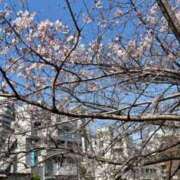 ヒメ日記 2026/03/24 14:32 投稿 レイ 角海老石亭
