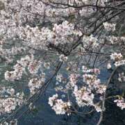 ヒメ日記 2026/03/30 19:56 投稿 レイ 角海老石亭