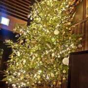 ヒメ日記 2024/12/24 07:57 投稿 朝比奈ちい 白夜