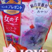 ヒメ日記 2025/05/31 19:55 投稿 朝比奈ちい 白夜