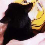 ヒメ日記 2025/10/09 13:16 投稿 朝比奈ちい 白夜