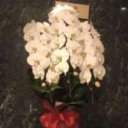 ヒメ日記 2026/01/21 14:00 投稿 朝比奈ちい 白夜