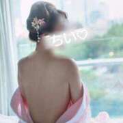 ヒメ日記 2026/02/14 06:10 投稿 朝比奈ちい 白夜