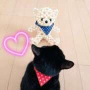 ヒメ日記 2026/02/23 06:14 投稿 朝比奈ちい 白夜