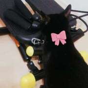 ヒメ日記 2026/04/21 06:41 投稿 朝比奈ちい 白夜