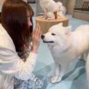 ヒメ日記 2025/04/29 15:35 投稿 木原かすみ キュート東京 五反田店