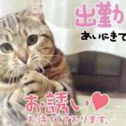 ヒメ日記 2025/06/04 11:58 投稿 紗夜(さよ) 高知デリヘル倶楽部 人妻熟女専門店