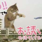 ヒメ日記 2026/03/04 18:06 投稿 紗夜(さよ) 高知デリヘル倶楽部 人妻熟女専門店