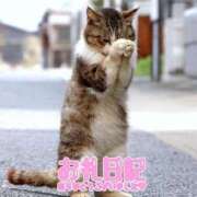 ヒメ日記 2026/03/04 22:21 投稿 紗夜(さよ) 高知デリヘル倶楽部 人妻熟女専門店