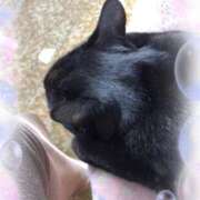 ヒメ日記 2025/03/10 09:28 投稿 りほ☆kawaii清楚な極上美乳 PREMIUM萌え可愛いチョコレート～全てのステージで感動の体験を～