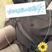 ヒメ日記 2025/04/17 17:00 投稿 りほ☆kawaii清楚な極上美乳 PREMIUM萌え可愛いチョコレート～全てのステージで感動の体験を～