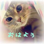 ヒメ日記 2025/08/09 06:46 投稿 リオ 川崎三浦屋