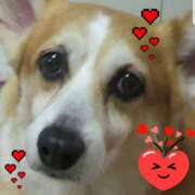 ヒメ日記 2025/10/22 07:54 投稿 リオ 川崎三浦屋