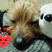 ヒメ日記 2025/11/28 07:58 投稿 リオ 川崎三浦屋