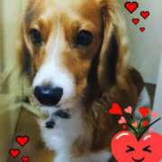 ヒメ日記 2025/11/29 08:00 投稿 リオ 川崎三浦屋