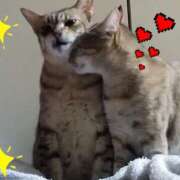 ヒメ日記 2025/12/03 07:59 投稿 リオ 川崎三浦屋