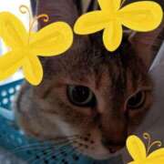 ヒメ日記 2025/12/05 08:01 投稿 リオ 川崎三浦屋