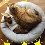 ヒメ日記 2025/12/07 07:46 投稿 リオ 川崎三浦屋