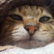 リオ 出勤しました😃 川崎三浦屋